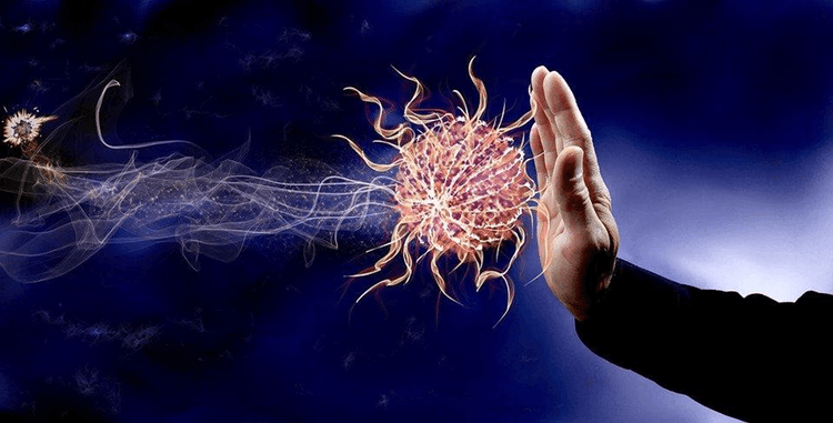 Immune system