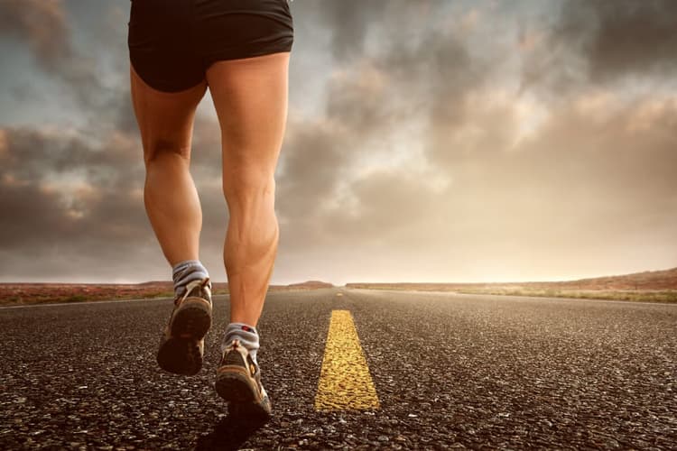 protein for endurance training